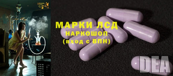 ПСИЛОЦИБИНОВЫЕ ГРИБЫ Медвежьегорск